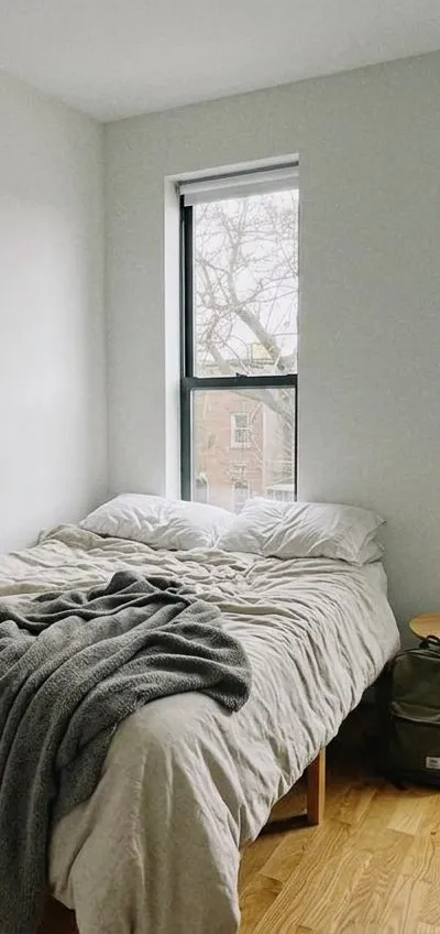 1 bedroom apartment in Bedford-Stuyvesant
