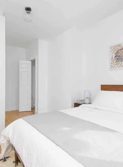 Bright, Spacious, Cozy 3 Bedroom in Lively Bushwick