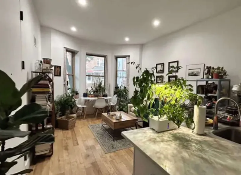 Amazing room with private bathroom + backyard in Bushwick