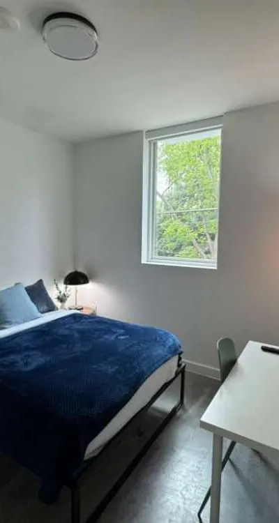 Spectacular Deluxe Room
