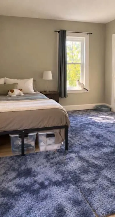 Spacious Private Suite Near Tufts University