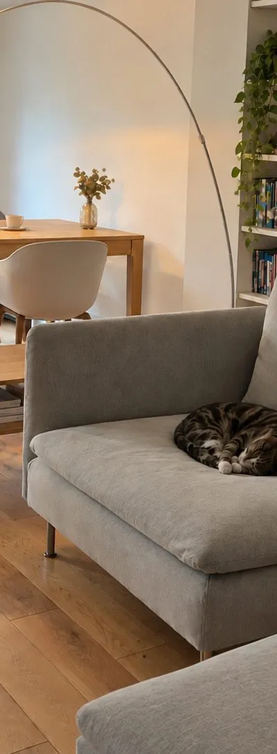 Entire 1br sublet comes with an adorable cat