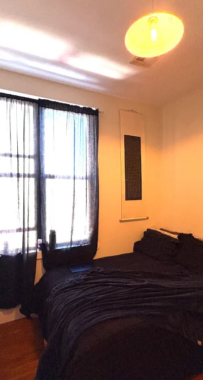 Private Bedroom in Bushwick Apt.