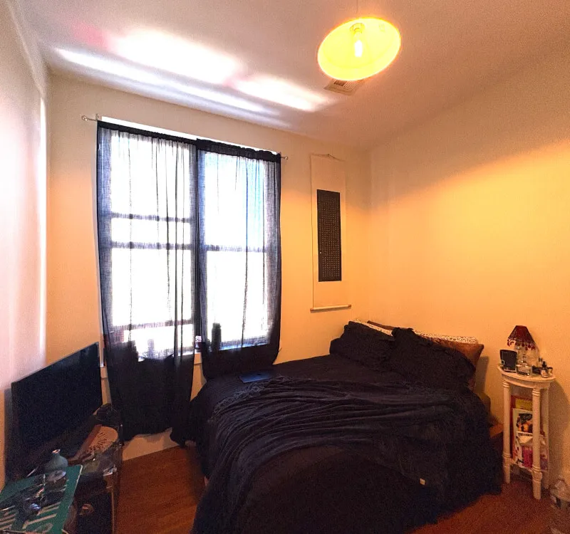 Private Bedroom in Bushwick Apt.