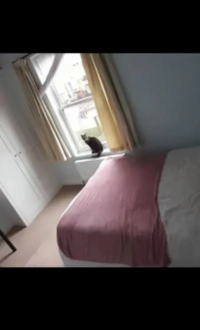 Private room in Shepherd's Bush/East Acton