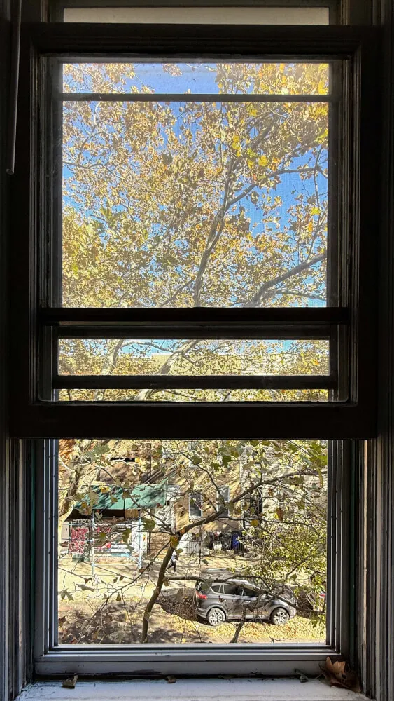 Large Quiet Room Next to McCarren Park - Greenpoint