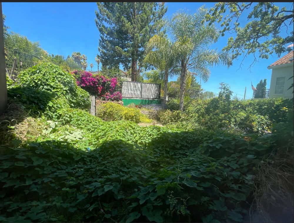 Large, Pristine Studio with private garden and...