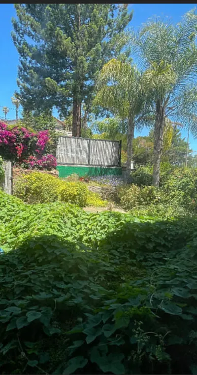 Large, Pristine Studio with private garden and...