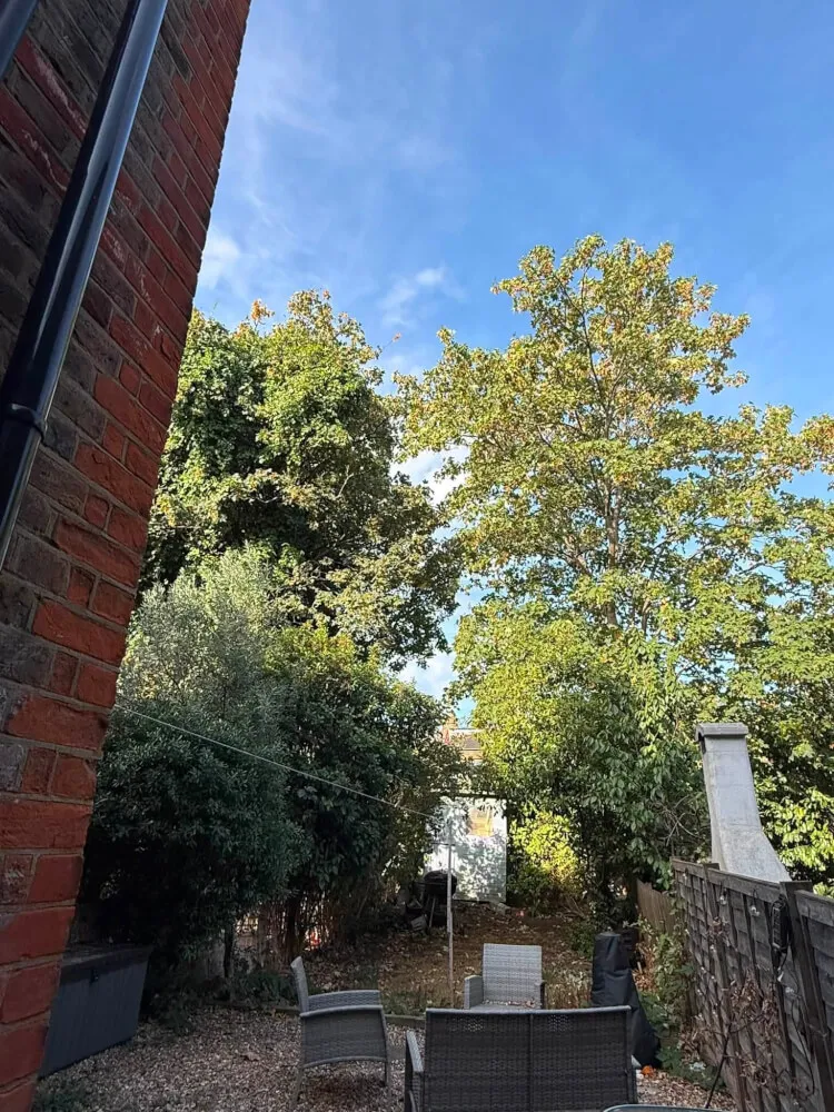 Entire 1 Bed Flat in Walthamstow