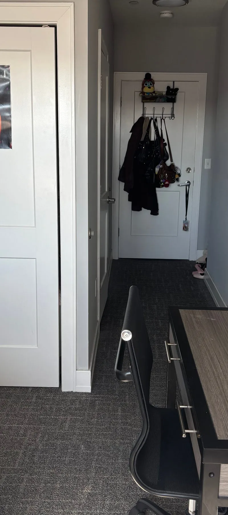 Spacious Well-Lit Private Room and Bathroom in North Oakland