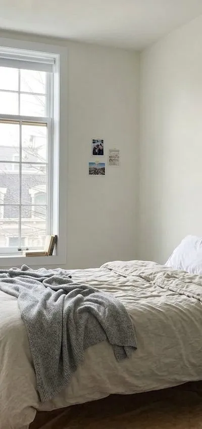 1 bedroom apartment in Clinton Hill