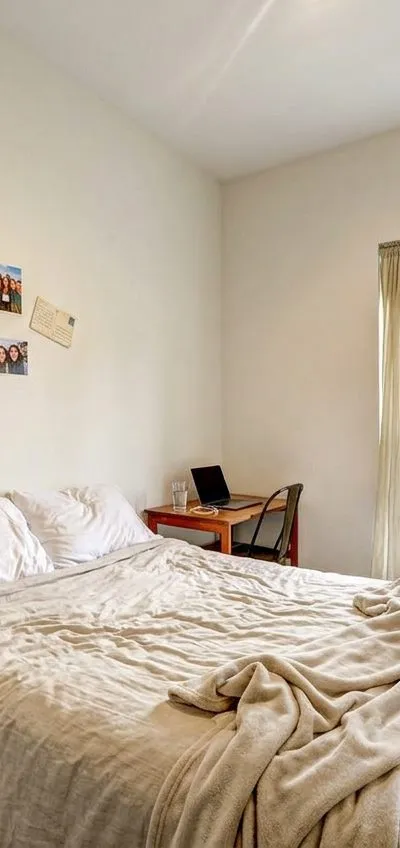 1 bedroom apartment in Bedford-Stuyvesant