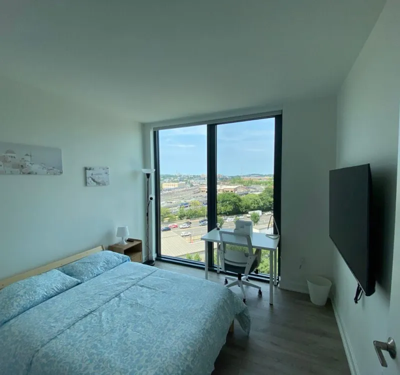 Stylish Furnished Room in Washington DC