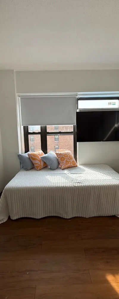 Spacious Park View Apartment