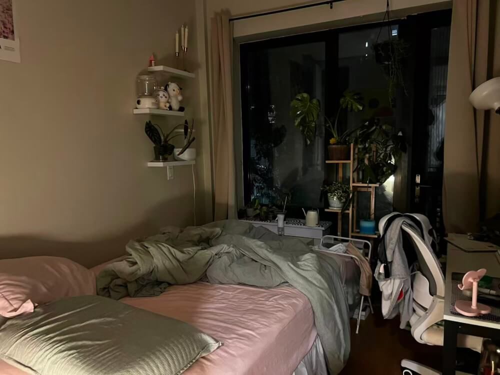 Cozy Room in Bushwick
