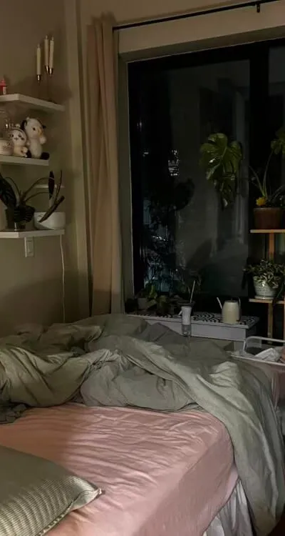 Cozy Room in Bushwick