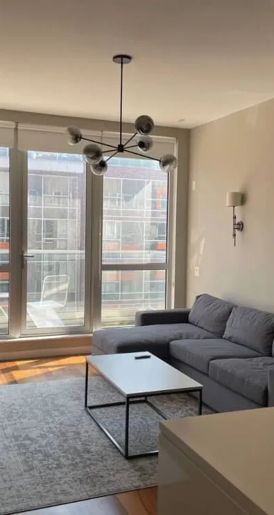 Furnished Williamsburg 1BR Sublet w/ Balcony - McCarren Park!