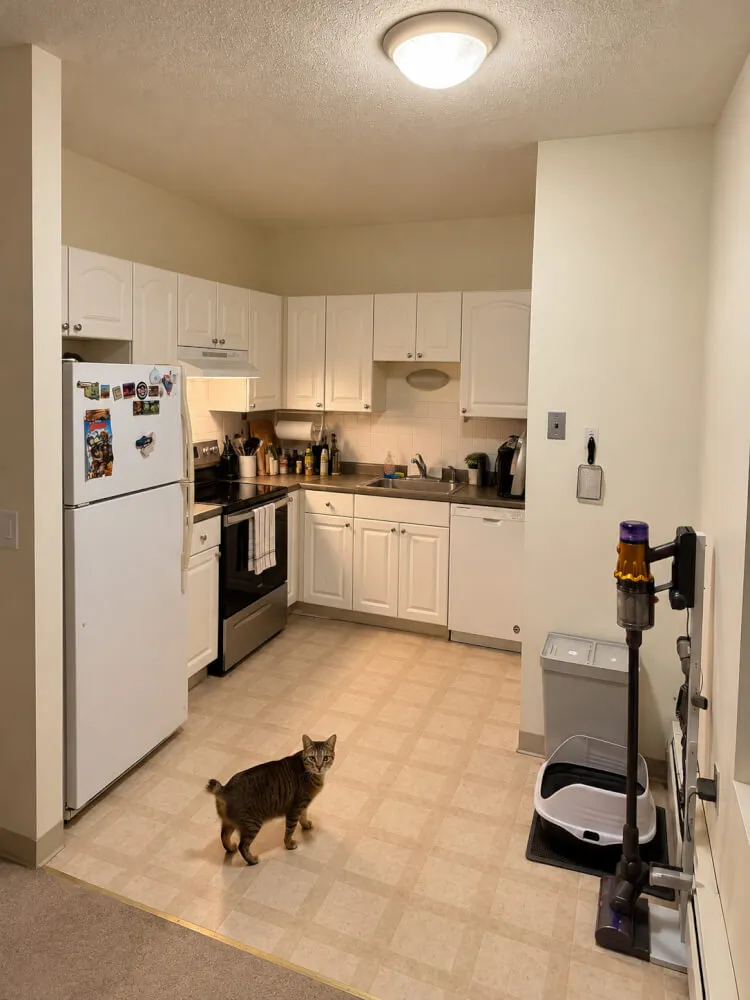 5 Royce Rd | Allston | Spacious 1 Bed / 1 Bath Apartment for Sublet | Allston, Boston | $2,400/month | Fully Furnished