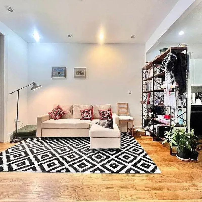 Furnished Bedroom in 3-Bedroom Bed-Stuy Apartment