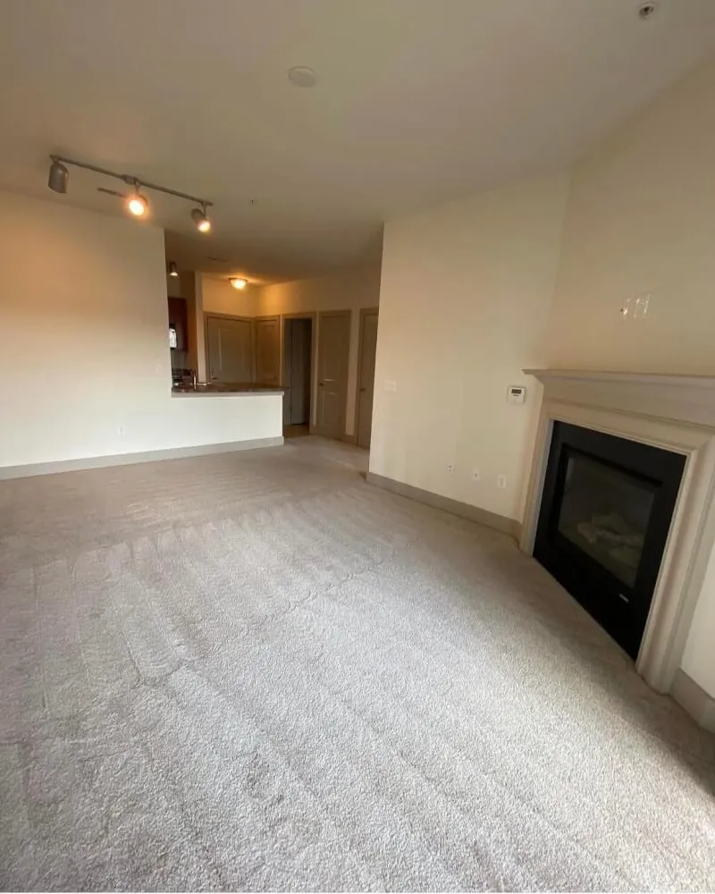 Spacious 800 sqft 1B1B Apartment in Pittsburgh (15220) | Covered Parking & In-Unit Laundry | Easy Highway Access