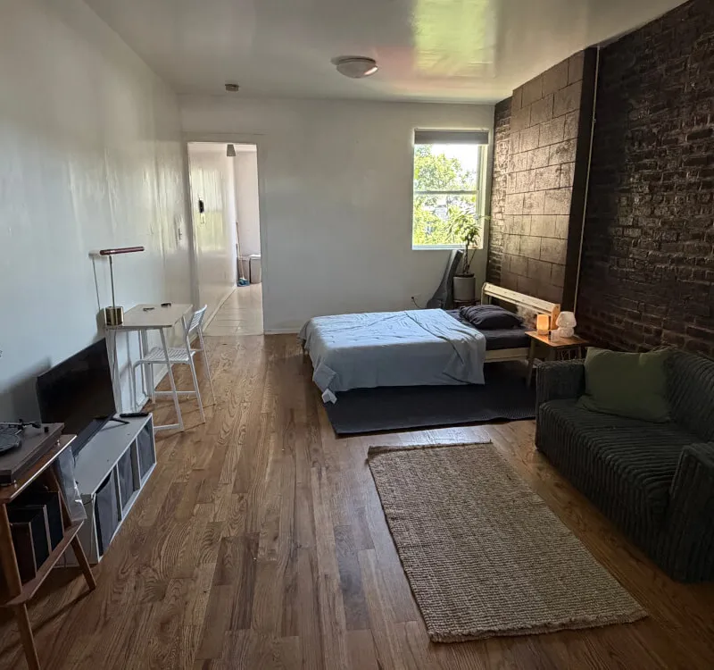 Roommate in a Spacious studio in Bushwick