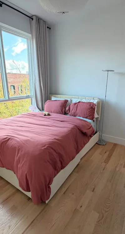 3 bed 2 bathroom Williamsburg Apartment Steps away from L train