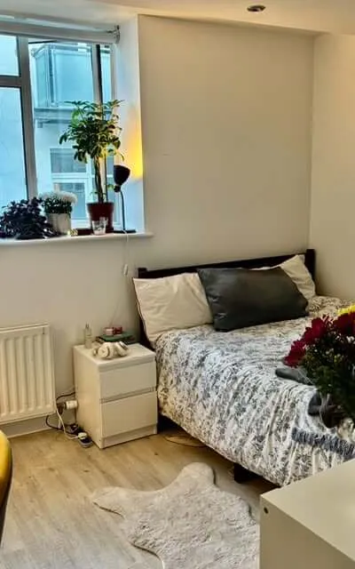Bright and cozy double room on Holloway Road