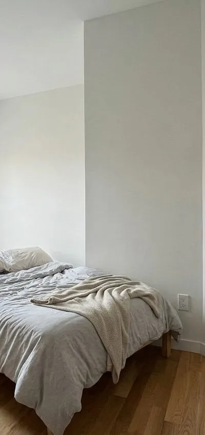 1 bedroom apartment in Bedford-Stuyvesant