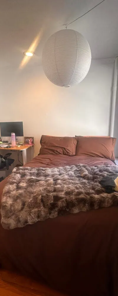 Private Room in Lower East Side Apartment