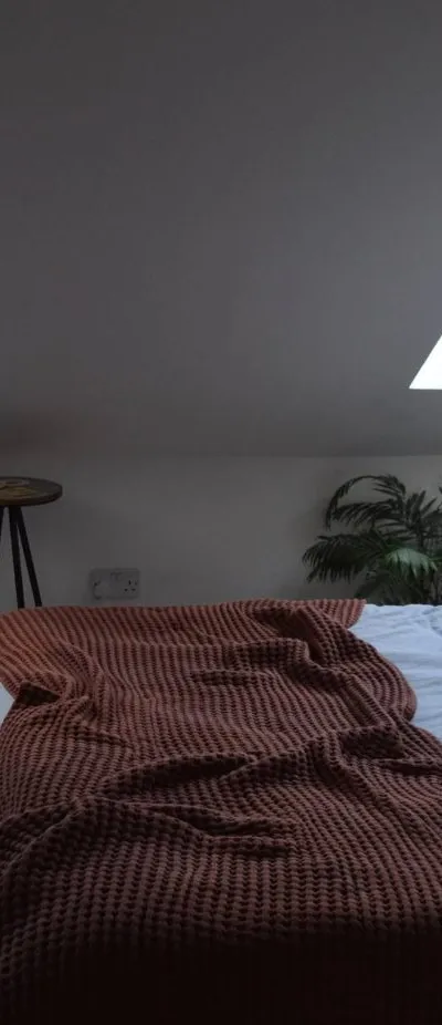 Spacious En-suite Attic Bedroom in Tottenham Hale