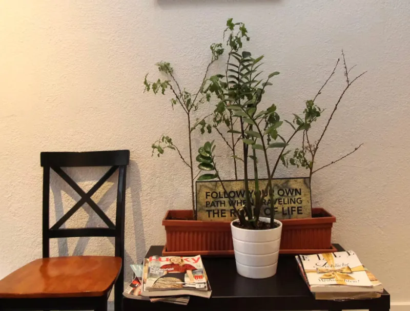 Private room in SOMA co-living residence