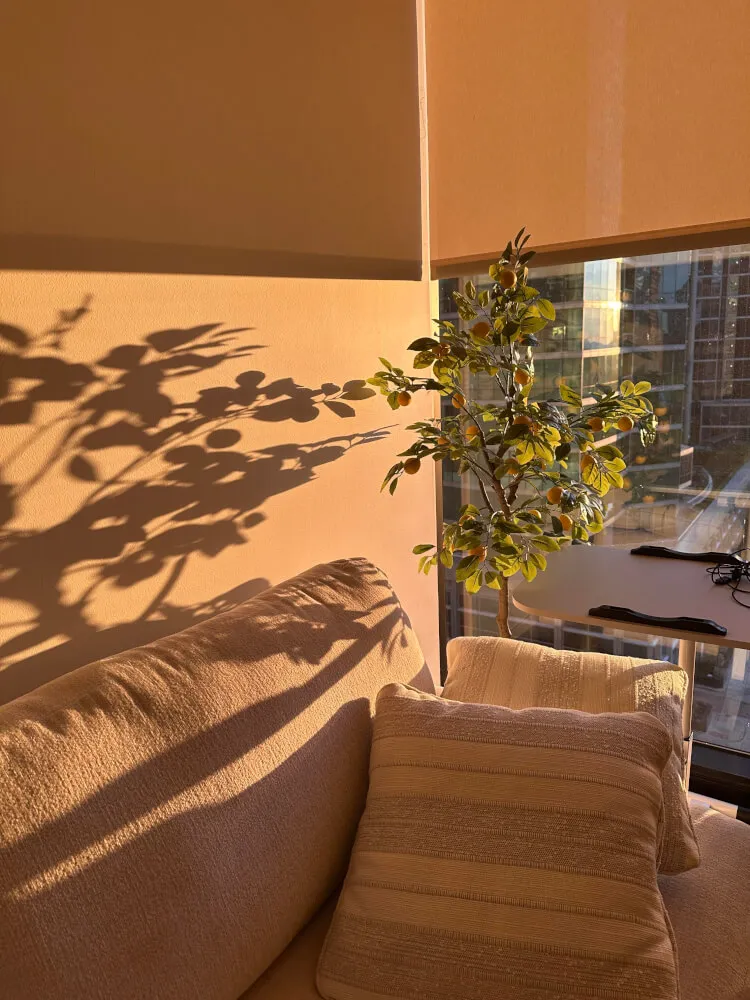 Chicago Luxury Sublease | NEMA Chicago 1B1B | Below Market Price | Jan 2027 – Sept 2027 | In-Unit Laundry & Gas Stove | Trader Joe's & UChicago Shuttle Outside