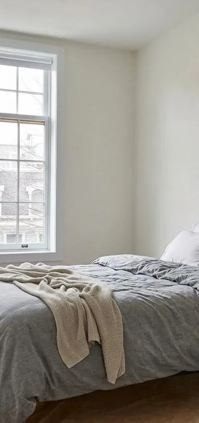 1 bedroom apartment in Clinton Hill