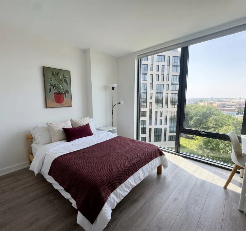 Cozy Room in Washington DC