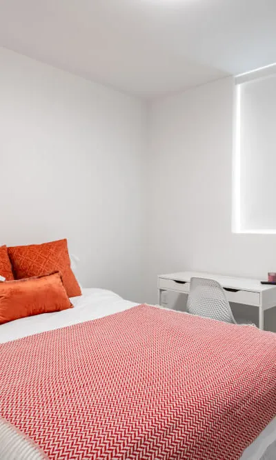 Large And Comfortable Room in Downtown