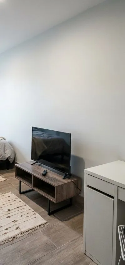 Furnished private bedroom in a Williamsburg apartment