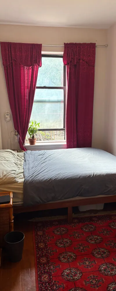Cozy Apartment in the Heart of Williamsburg!