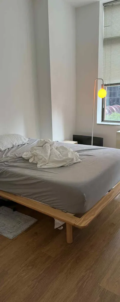 Entire high rise apartment in Murray hill with in unit washer dryer