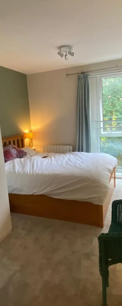Room in 2 bed East Dulwich Flat