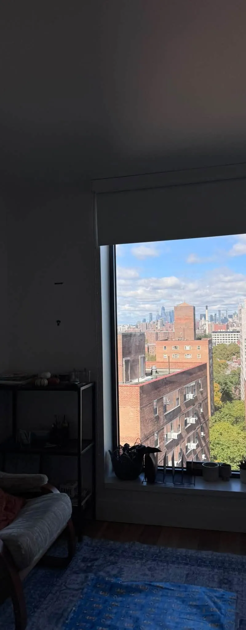 Luxury Furnished Studio in Fort Greene with Skyline Views
