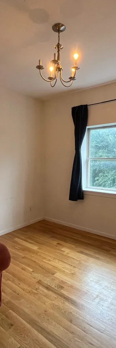 Spacious Room in Bushwick Duplex