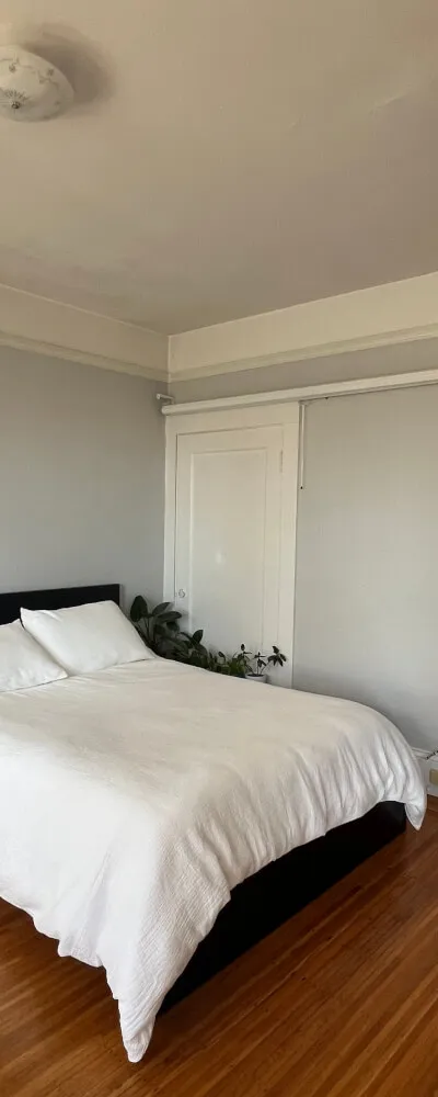 Big studio in Russian hill