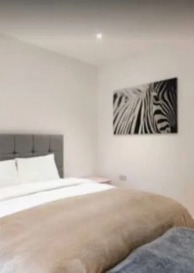 Stylish flat in zone 1 London