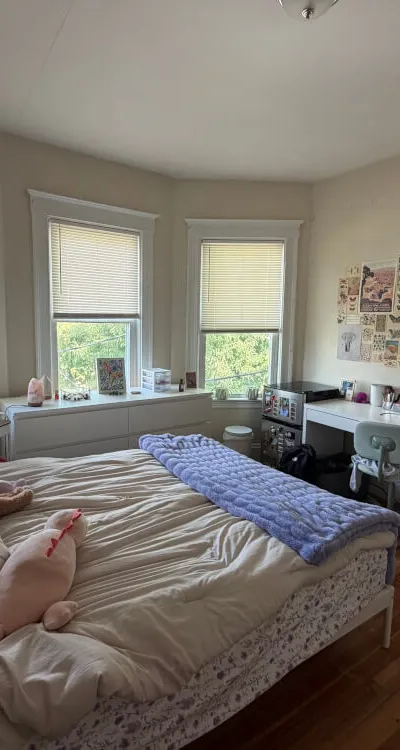 Cozy room in Somerville