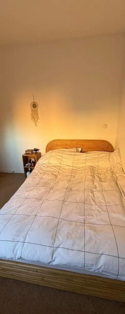 Private Room in Spacious Shadwell House