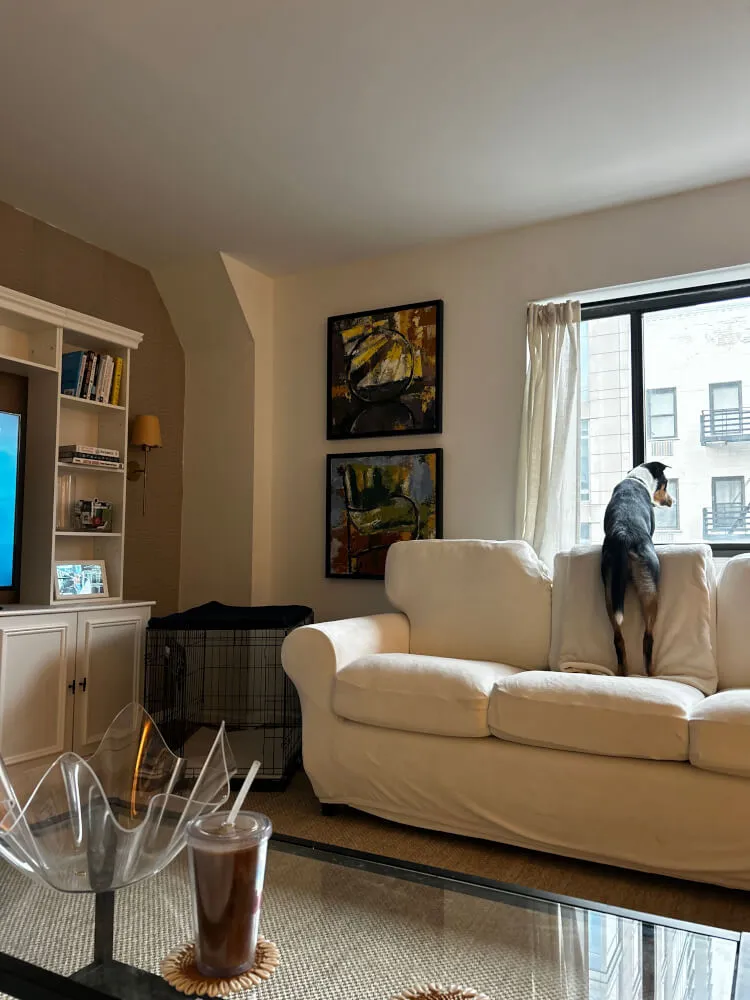 Bright One Bedroom Apartment on Upper East Side