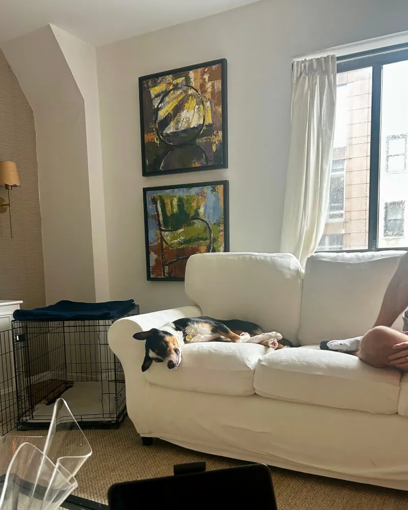 Bright One Bedroom Apartment on Upper East Side