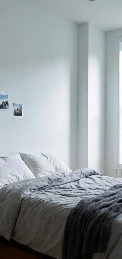 1 bedroom apartment in Ocean Hill