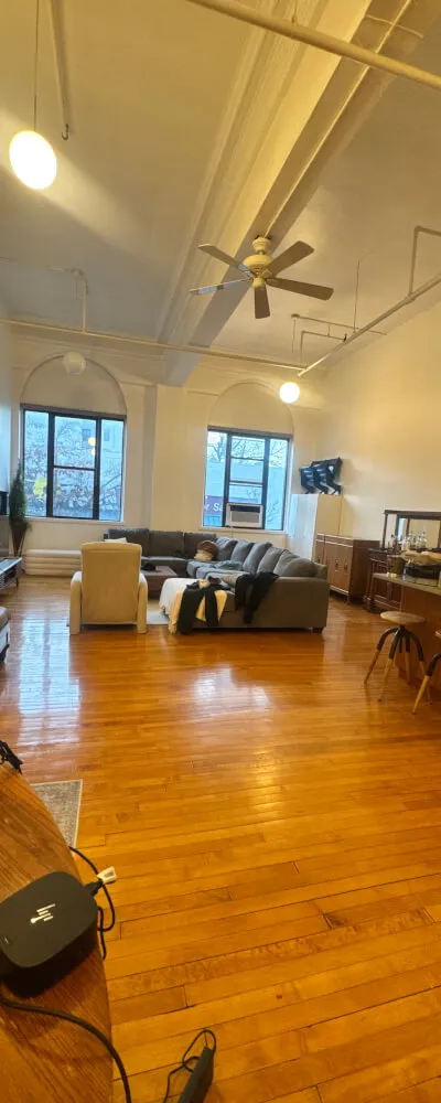 Spacious and cozy 1-bedroom loft in Williamsburg
