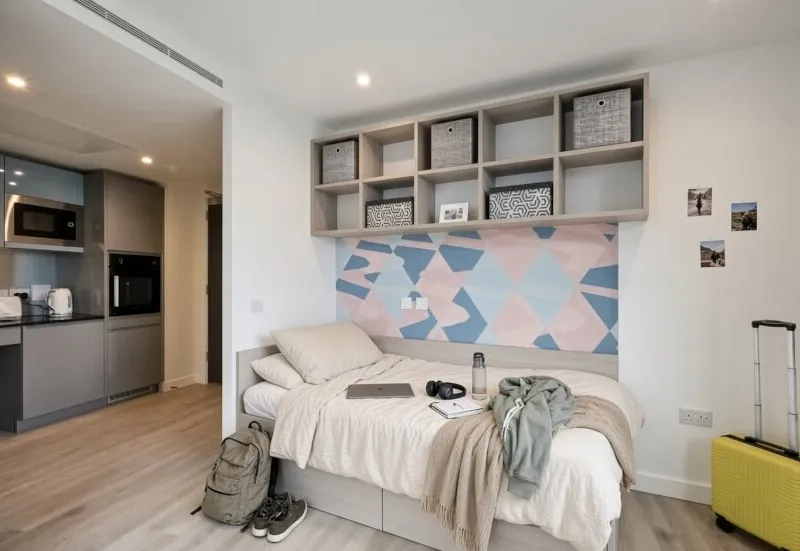 Official UCL Canary Wharf Studio Replacement | Studio (Private Kitchen & Bathroom) | Official UCL Accommodation Portal Transfer